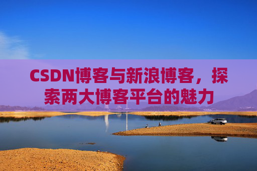 CSDN博客与新浪博客，探索两大博客平台的魅力